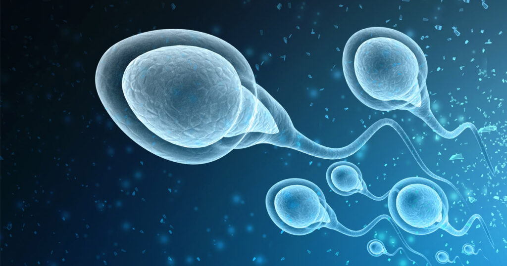 Evolution of Sperm
